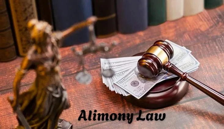 alimony law