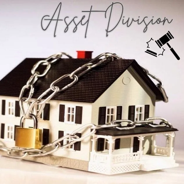 assets division