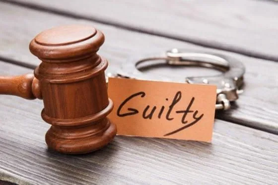 Can You Appeal After Pleading Guilty?