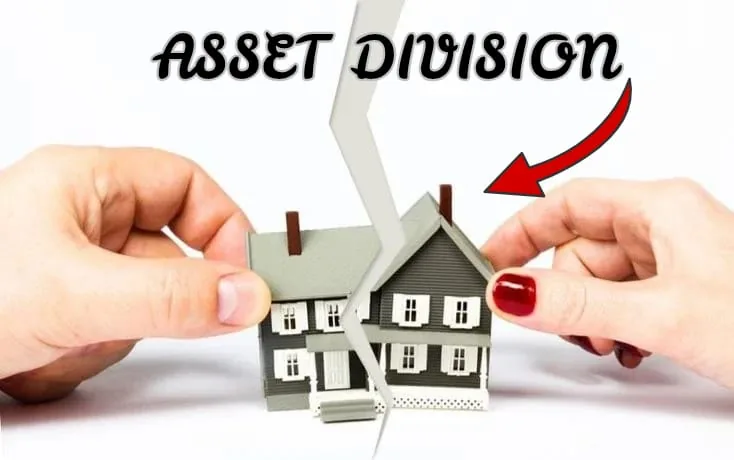 assets division