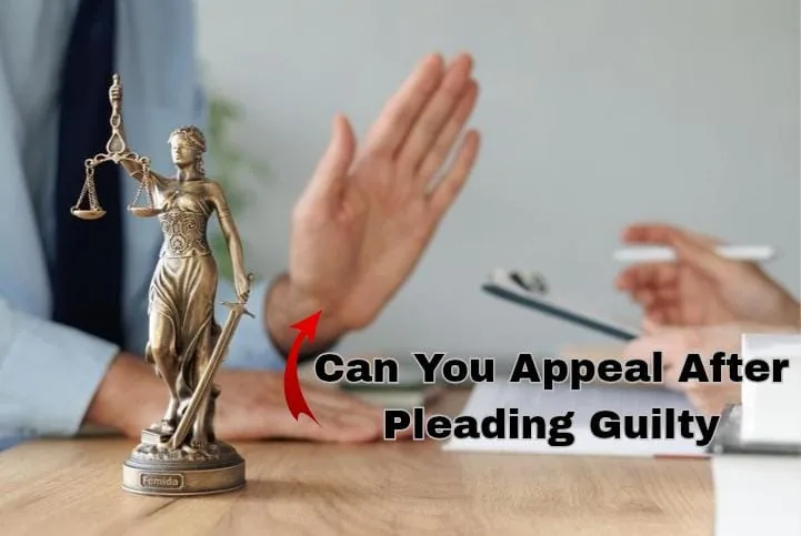 Can You Appeal After Pleading Guilty?