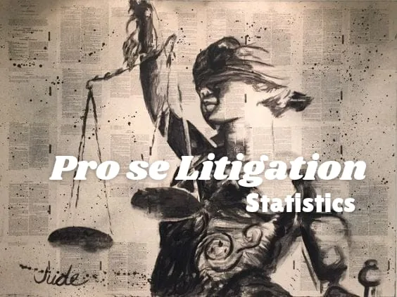 pro se ligitation