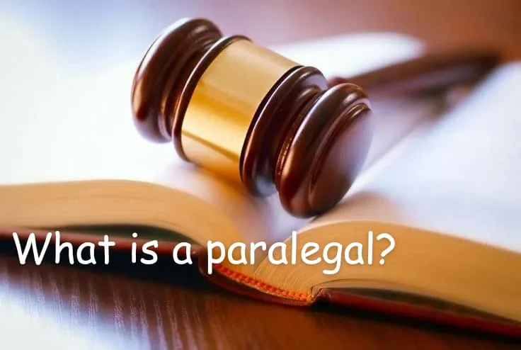 what is a paralegal