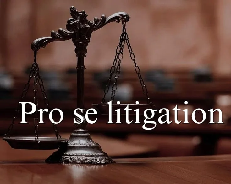 pro se ligitation