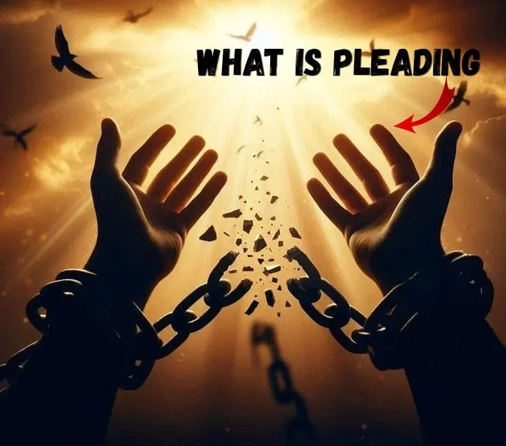 What Is a Pleading?