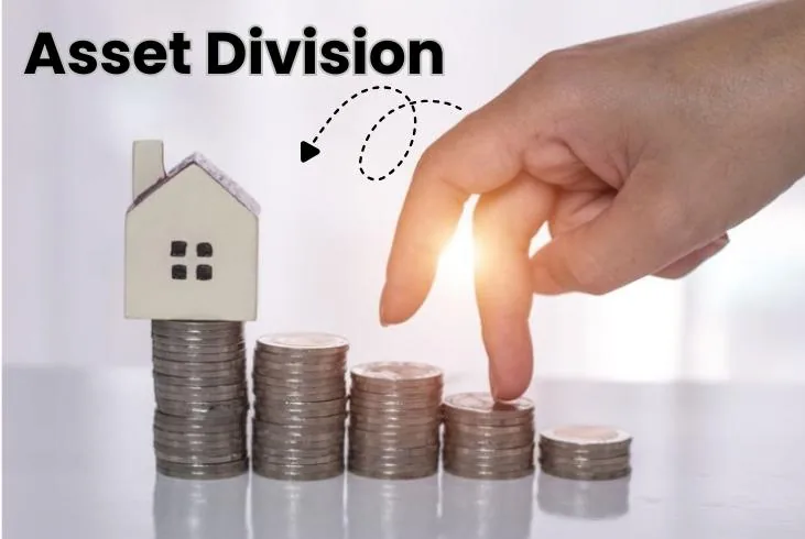 asset division
