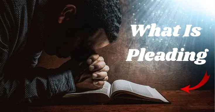 What Is a Pleading?